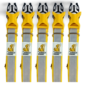 Reflective Dog Collars – Pack of 5