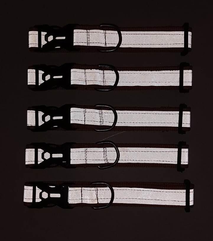 Reflective Dog Collars – Pack of 5 - Image 2