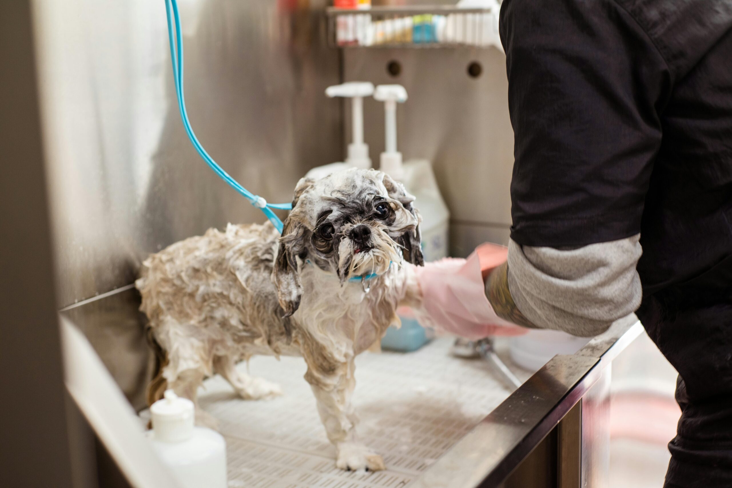 Bubble Bath