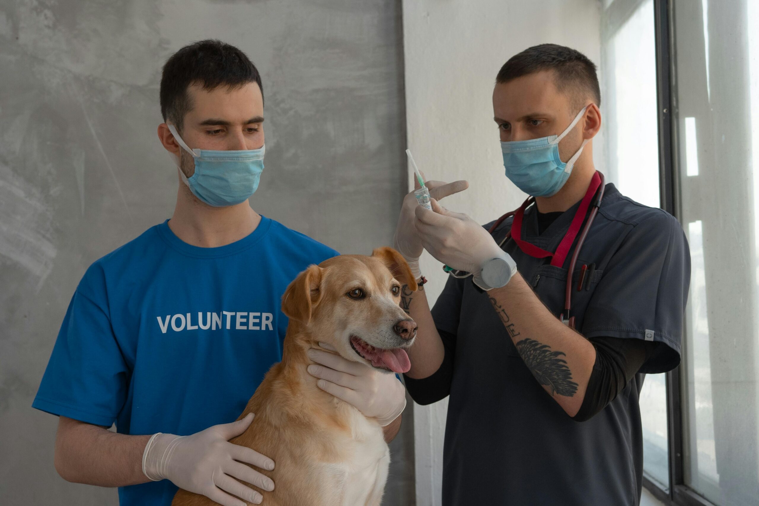 Pet Vaccination