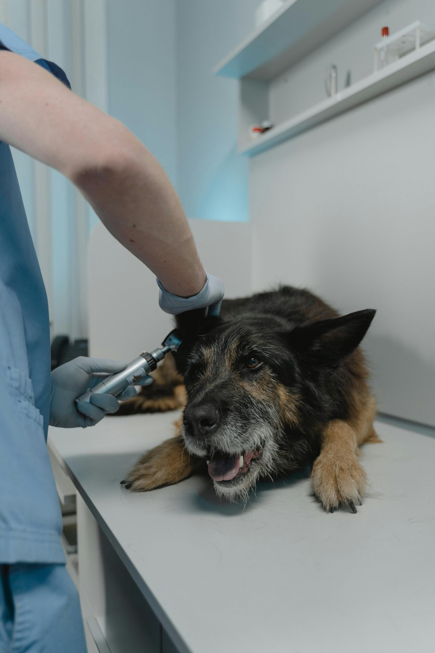 Ear Cleaning
